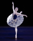 Mia-Brooks-Variation-from-Le-Corsaire-3-Art