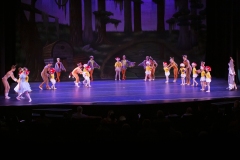 Mushrooms-1