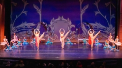 VSB-Nutcracker-2025-Saturday-Dec-20141-michvp_com